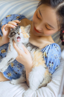 决战紫禁之颠